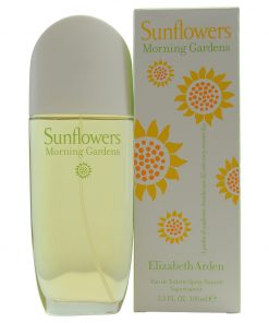 Sunflowers Morning Gardens