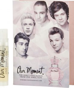 One Direction Our Moment