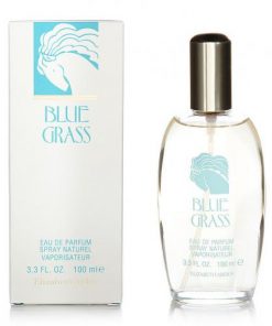 Elizabeth Arden-BLUE GRASS 3.4 EAU DE PARFUM SPRAY